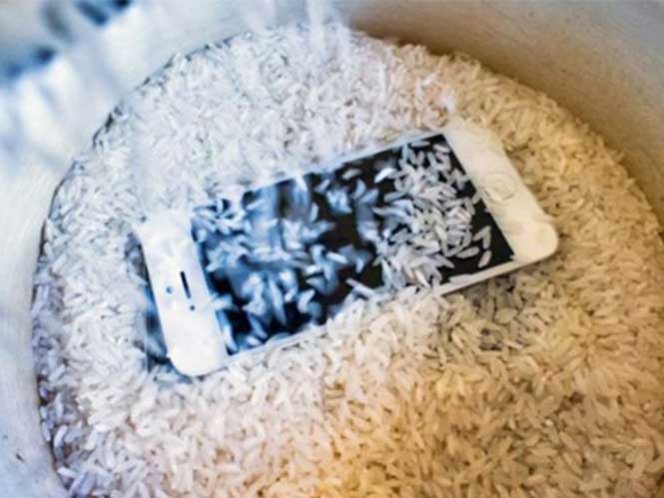 Tips: Arroz para salvar tu celular del agua ¿funciona?