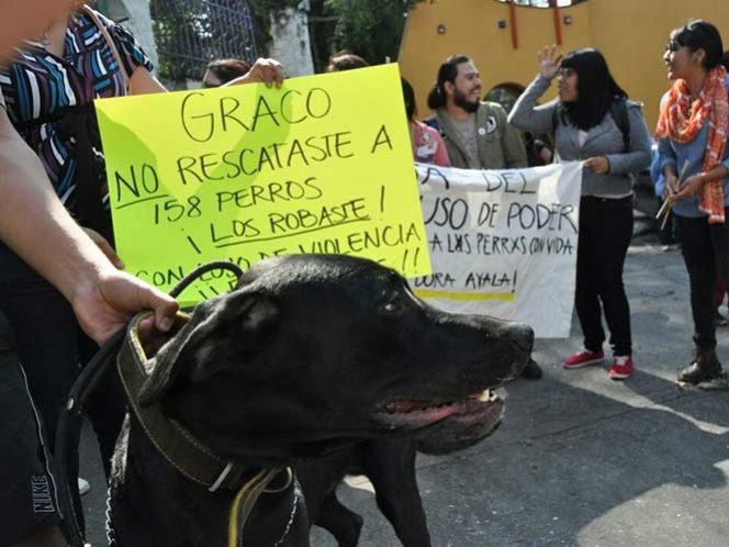 'Queremos que nos regrese a nuestros perros', piden pobladores a Graco