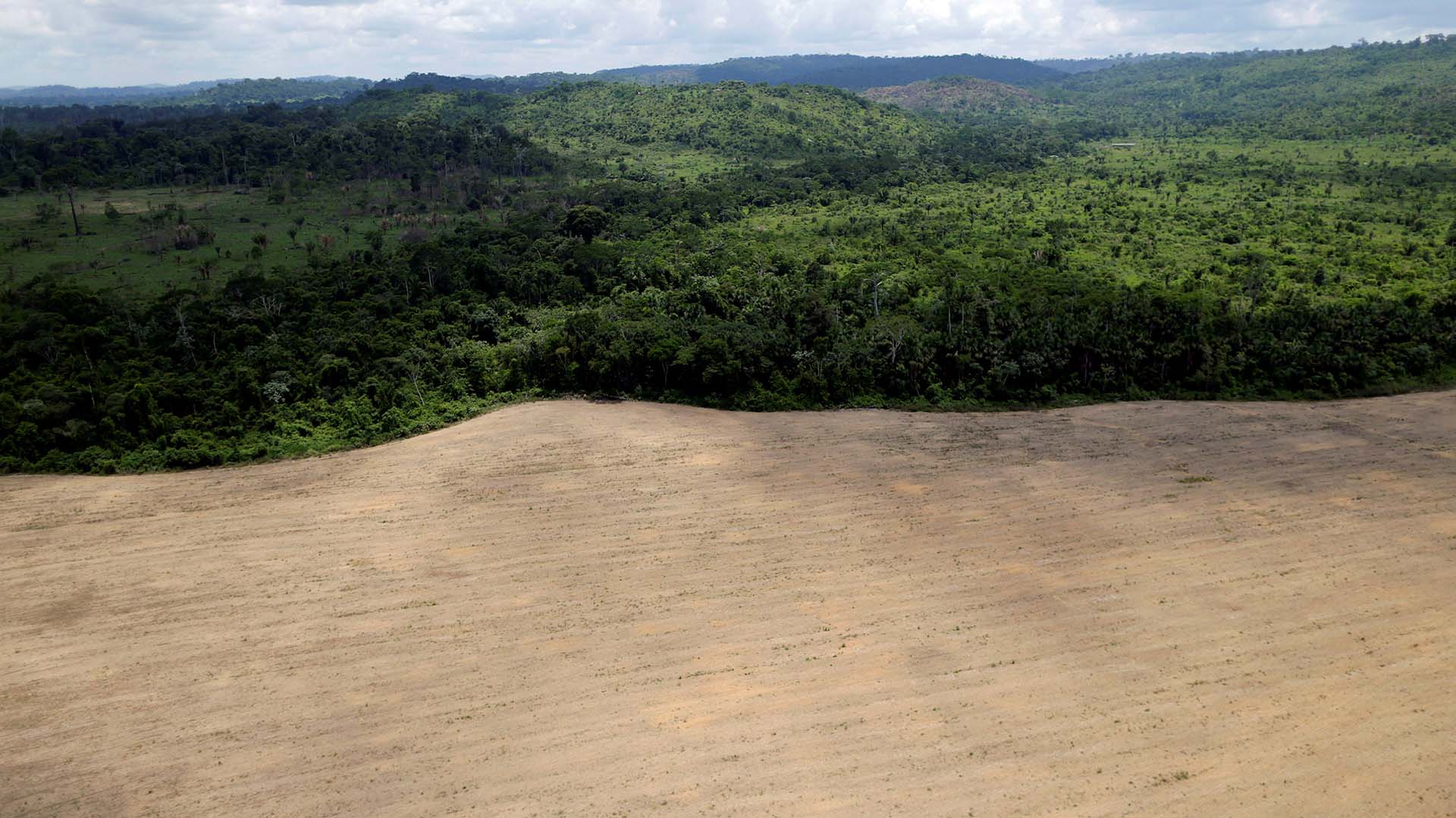 Proteger el Amazonas de la tala ilegal: imágenes de la lucha desde adentro