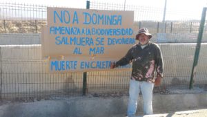 Consejo regional de Coquimbo da “apoyo político” a proyecto minero-portuario Dominga en La Higuera