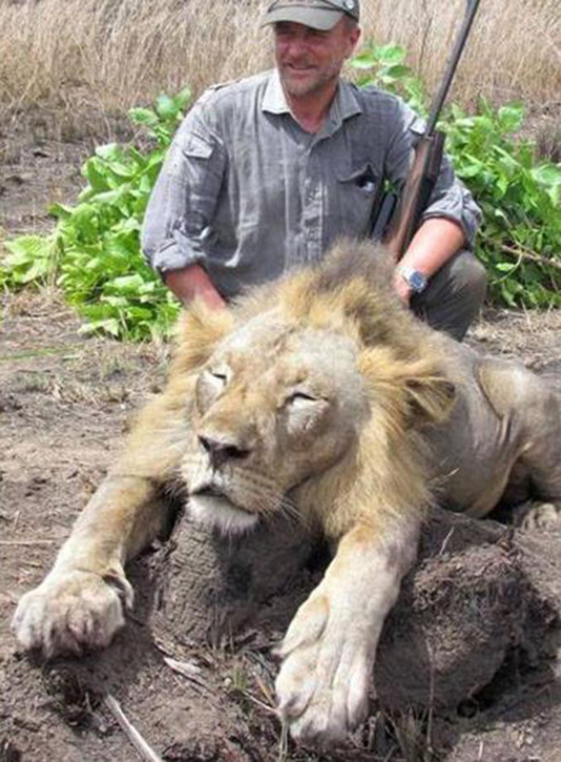 "¡Intervención divina, karma!": la cruel celebración por la trágica muerte del veterinario cazador de leones