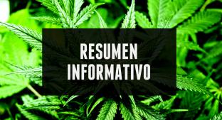 RESUMEN INFORMATIVO: Avalan uso medicinal de la marihuana