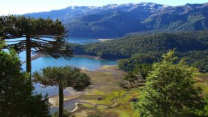 La violencia estructural y la defensa de los territorios (la Ñuke Mapu)