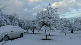 La primera tormenta ya nos dio la temperatura más baja del año, 14 grados bajo cero: Luis Felipe Puente, coordinador de Protección Civil