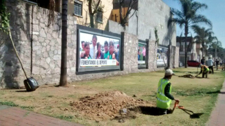 Inicia reforestación por construcción de L7 del Metrobús