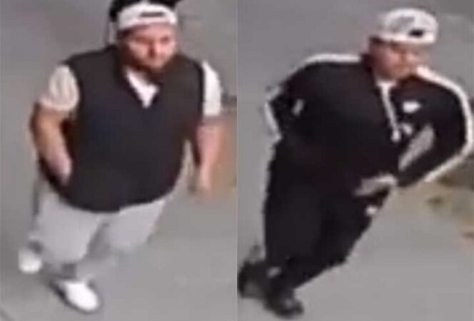 Video: 'Ratas' atracan así en la colonia Roma, ¿los reconoces?