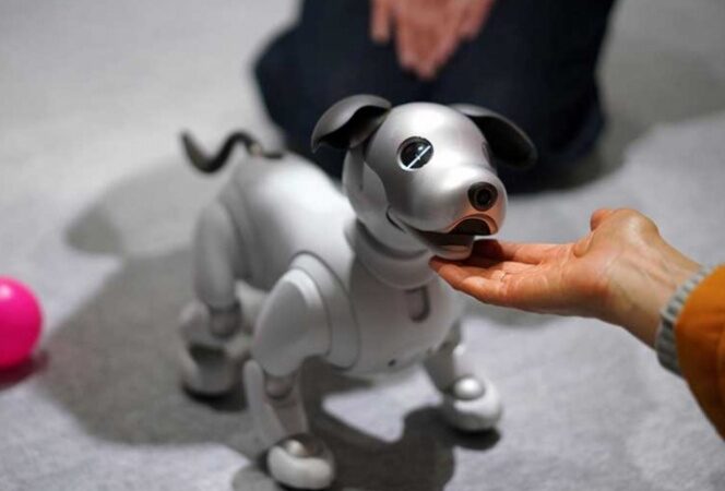 Aibo, el perro-robot, arrasa y se agota en la venta anticipada
