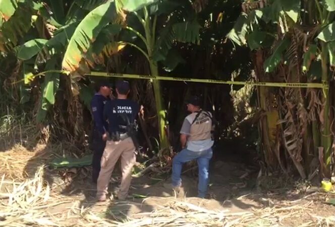 Inician identificación de cuerpos encontrados en fosas en Nayarit