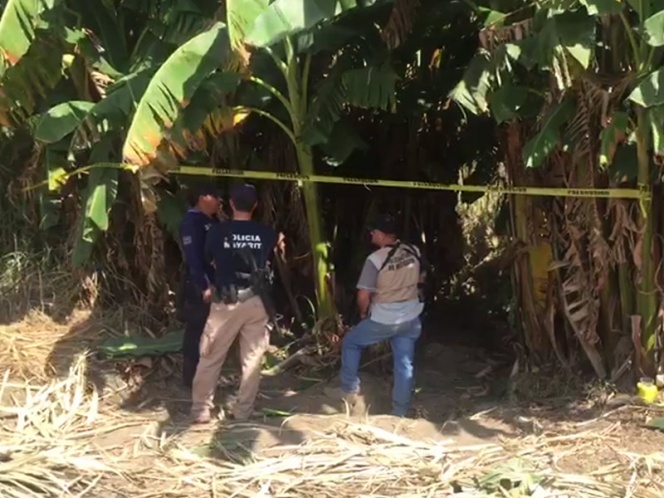 Inician identificación de cuerpos encontrados en fosas en Nayarit