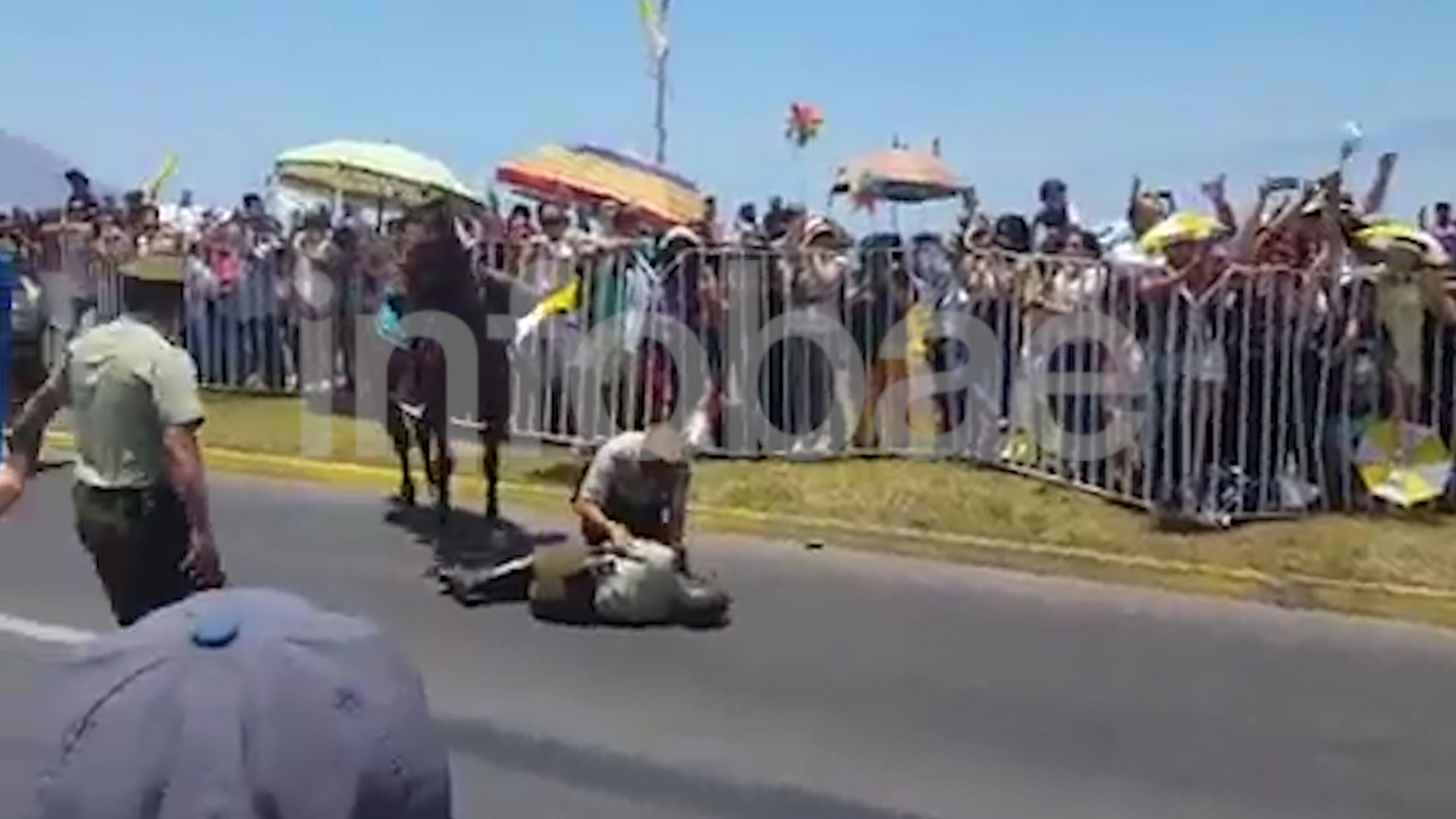 El gesto del papa Francisco con una carabinera que se cayó de su caballo