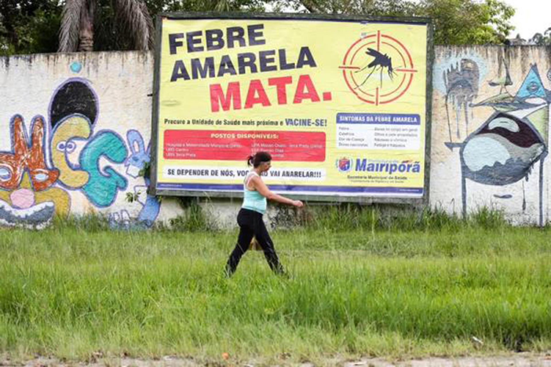 El Gobierno de San Pablo reconoció que hay un "brote" de fiebre amarilla