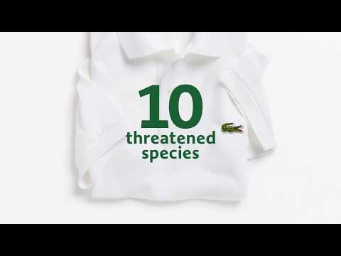 Lacoste cambiará su logotipo por la vaquita marina y otras especies en peligro de extinción