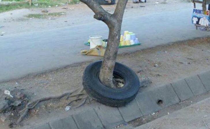 21 fotos que te harán preguntar “¿cómo rayos llegó eso ahí?”. Aunque quizá nunca lo entiendas
