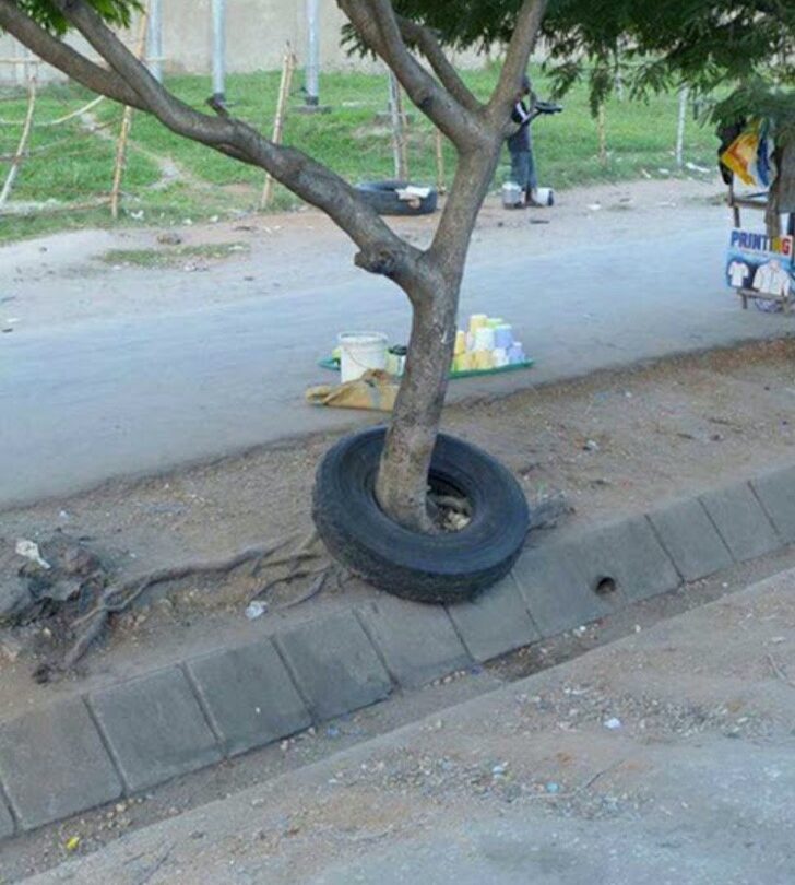 21 fotos que te harán preguntar cómo rayos llegó eso ahí Aunque quizá nunca lo entiendas |