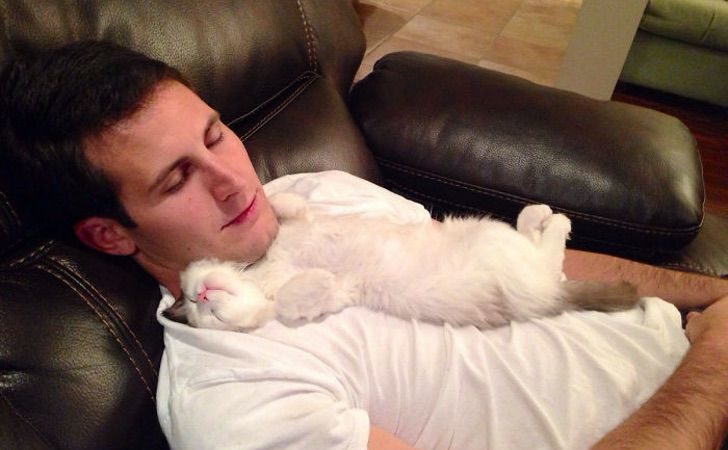 Los atraparon “odiando” a los gatos. 25 personas que definitivamente “no querían gatos en su casa”