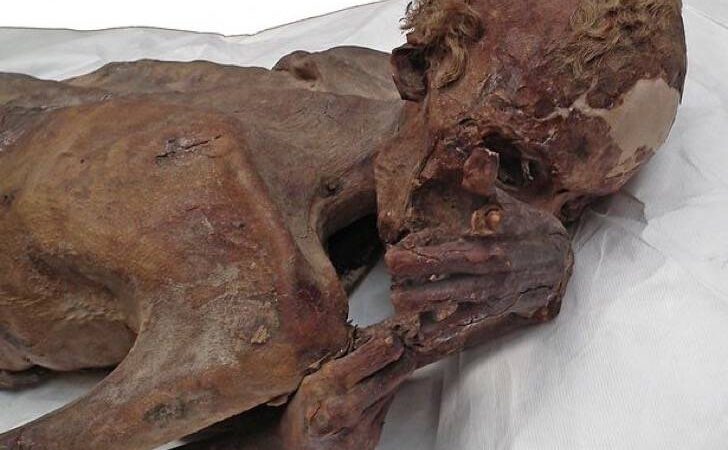 Científicos encontraron una momia con el tatuaje más antiguo del mundo. Tiene más de 5,000 años