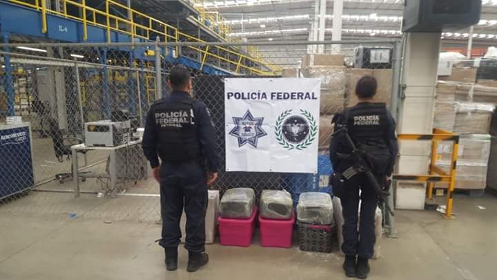 POLICÍA FEDERAL, CON APOYO DE BINOMIOS CANINOS, ASEGURA APARENTE MARIHUANA EN EL ESTADO DE MÉXICO