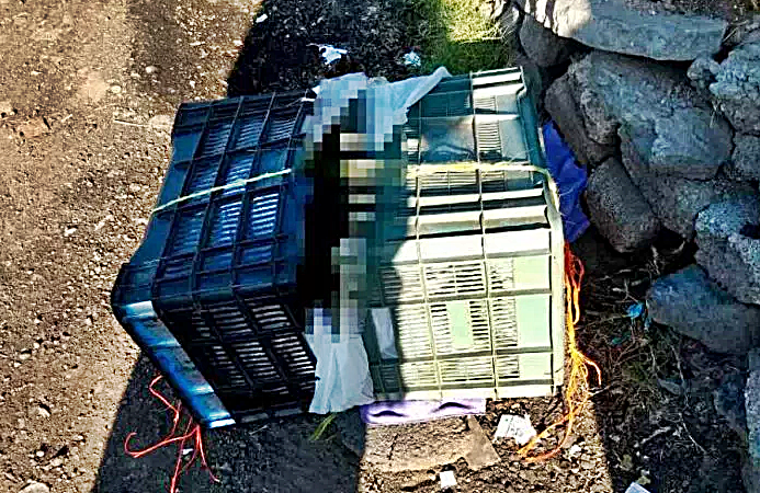 Dejan dos cajas con restos de personas en  ECATEPEC
