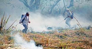 Suspenden apoyo a campesinos trabajadores de Bosque de Cuernavaca