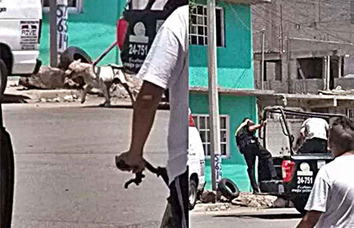 ALERTA: Pitbull ataca a su dueña e hija en Ecatepec; el animal sufría maltrato