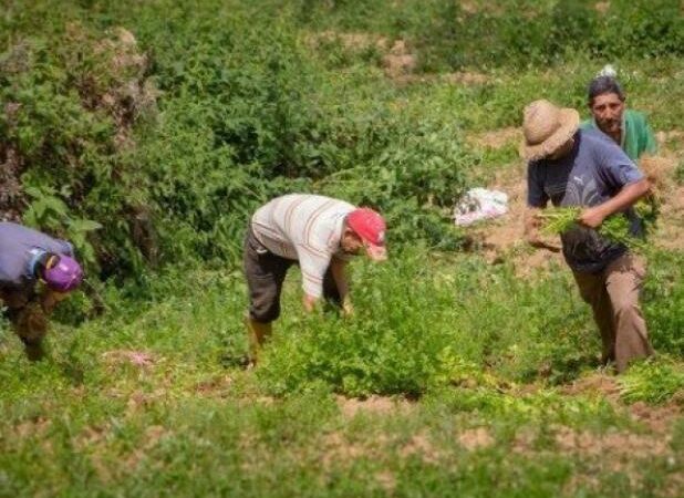 Destituidos 17 funcionarios del Inti involucrados en desalojo ilegal de campesinos