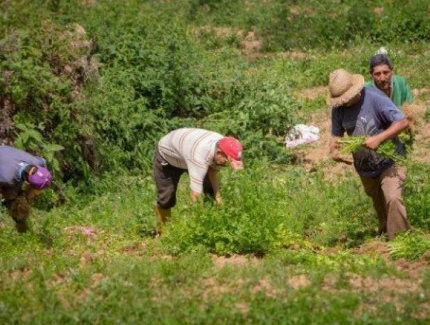 Destituidos 17 funcionarios del Inti involucrados en desalojo ilegal de campesinos