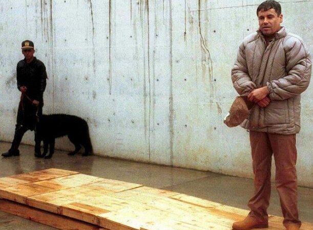 Gobierno de EEUU pretende revelar los CRIMENES del Chapo Guzman durante su JUICIO