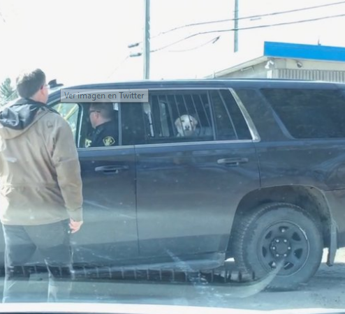 Arrestaron a un perrito…