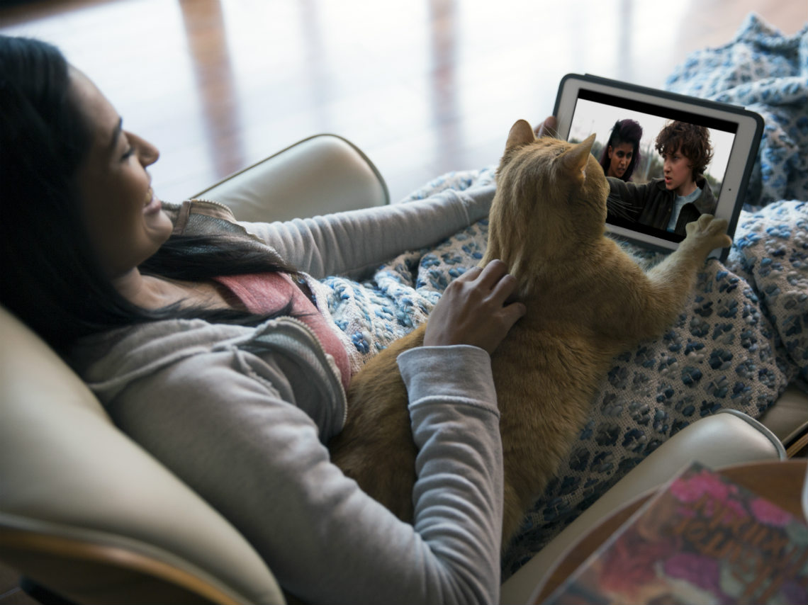 Tu perro o gato, el compañero ideal para ver Netflix