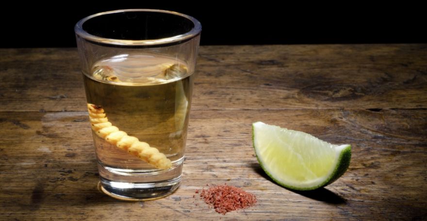 Bacardí­, Chivas Regal y Johnnie Walker le entran al mezcal