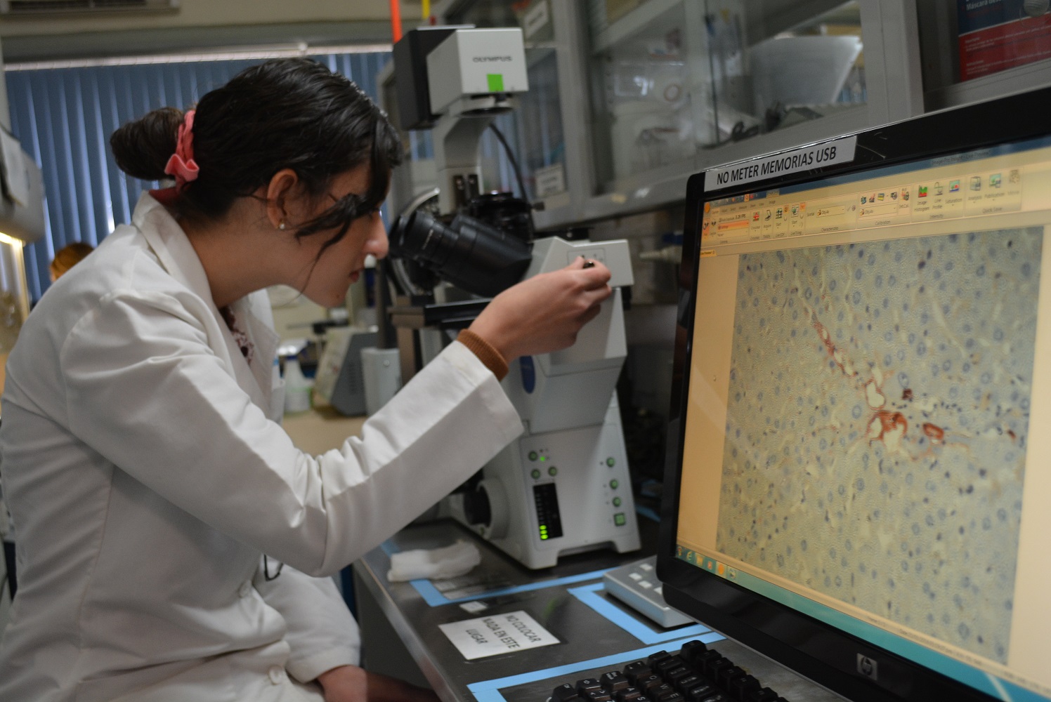 Morelos, sede del Tercer Simposio Internacional de Bioinformática