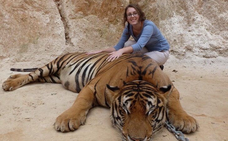 El infierno que viven los animales a cambio de una fotografía: Son drogados hasta no poder moverse