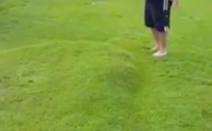 Un hombre encuentra una gigantesca burbuja en el césped. Luego intenta reventarla como un grano