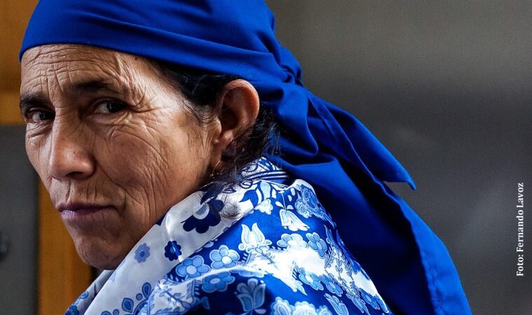 Postulan a la machi Francisca Linconao al Premio Nacional de Derechos Humanos