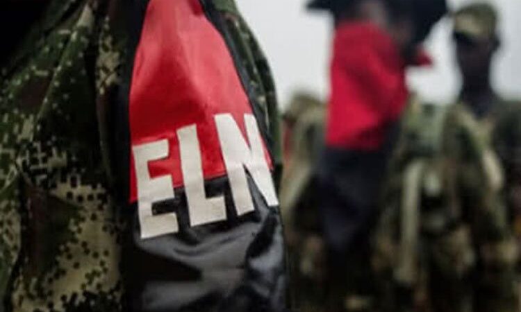 ELN anuncia cese de actividades militares por las elecciones