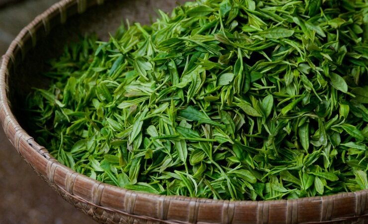 Descubren accidentalmente que nanopartículas del té pueden matar células cancerosas del pulmón