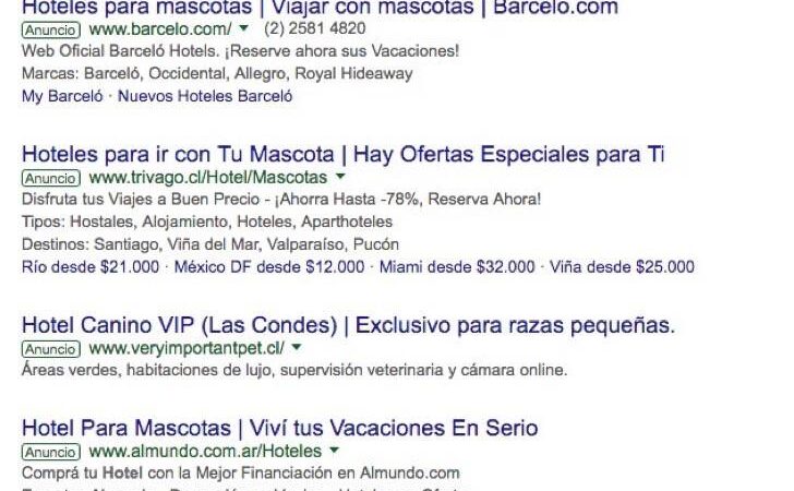 “Hoteles de lujo” para cerdos: el falso nombre que las empresas chinas dan a los mataderos masivos