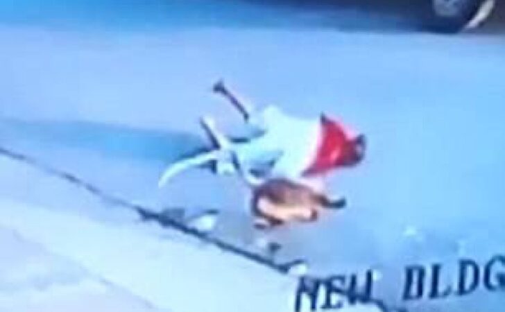 “El Planeta de los Simios” en la vida real: Animales se acercan a escondidas y atacan brutalmente