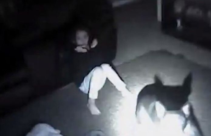 Video | Policía dispara contra un perro y hiere a una niña