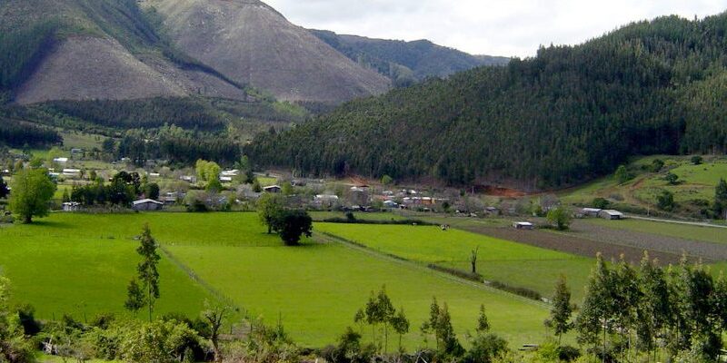 Superintendencia de Medio Ambiente investiga denuncias sobre hidroeléctricas en Valle de Elicura