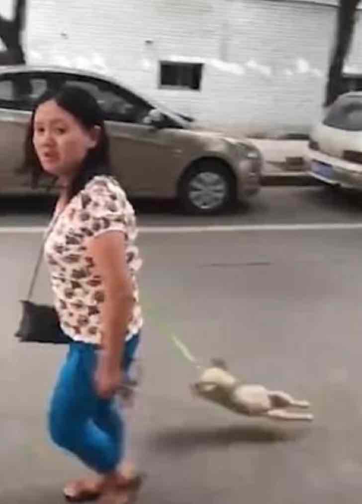 Tira a su perro con fuerza y lo levanta en el aire. Lo obligó a dar un paseo de la forma más cruel