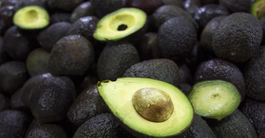 Precio del aguacate llega 70 pesos por kilo en mercados del país