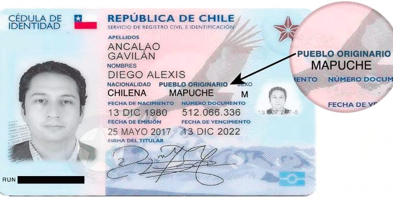Proponen incorporar identidad indígena en el carnet: “Es un derecho básico para seguir avanzando”