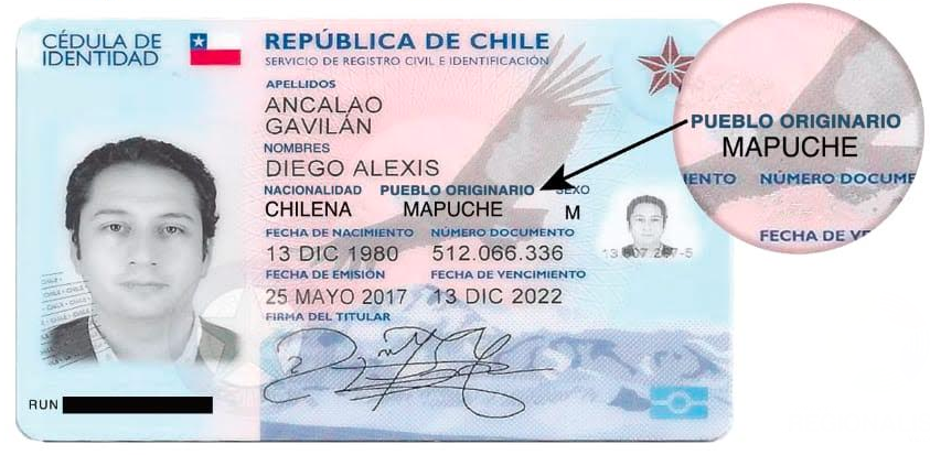 Proponen incorporar identidad indígena en el carnet: “Es un derecho básico para seguir avanzando”