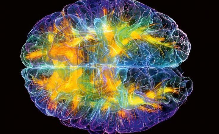 Científicos se acercan a develar el misterio del origen de la conciencia