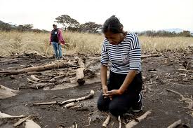 En Guatemala, una mujer busca a sus 50 familiares desaparecidos tras erupción de volcán