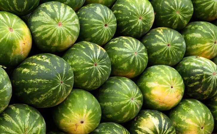 5 errores y crímenes que cometemos con las deliciosas sandías. No la estás tratando como se merece.