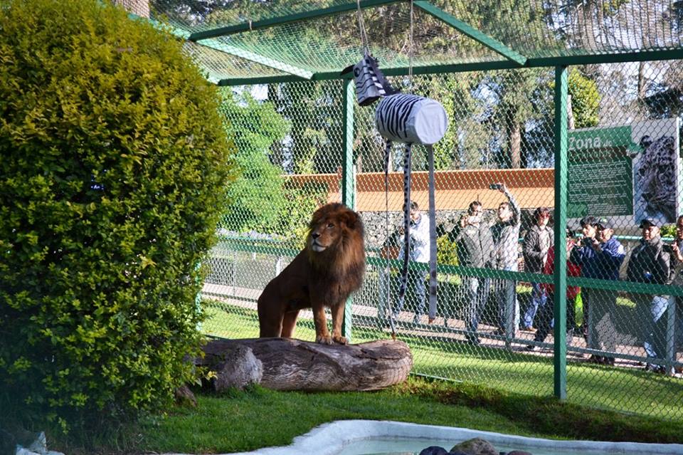 ES PARQUE ECOLÓGICO “ZACANGO” SEDE DEL CONGRESO INTERNACIONAL DE PROMOTORES DE BIENESTAR ANIMAL