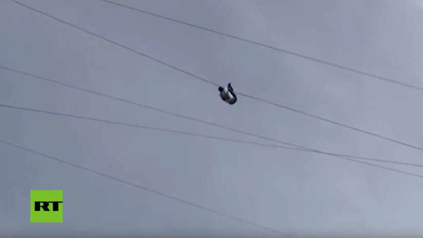 VIDEO (+18) | Un hombre cae al vacío al trepar un cable de alta tensión