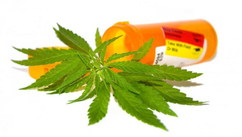 Cannabis hace millonarios a varios grupos de empresarios